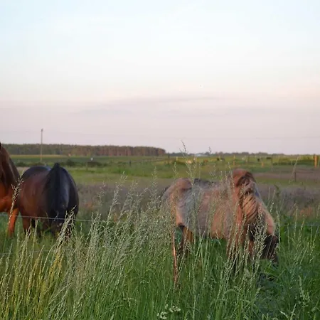 Accommodatie bij particulieren Am Peenetal *
